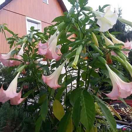 Helle 70 Qm Mit Herrlichem Blick Appartement *