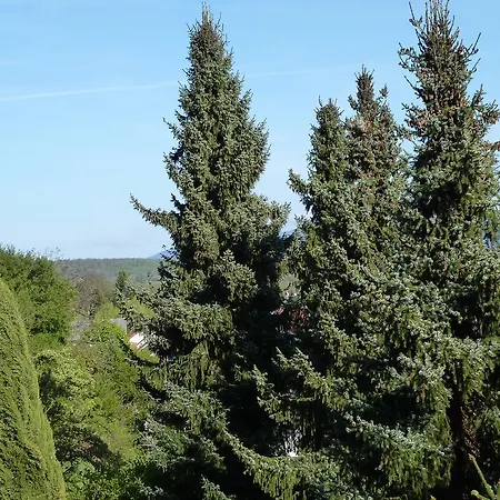 Helle 70 Qm Mit Herrlichem Blick *