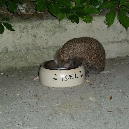 Helle 70 Qm Mit Herrlichem Blick Apartman *