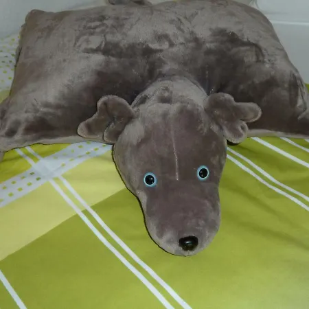 Appartement Helle 70 Qm Mit Herrlichem Blick