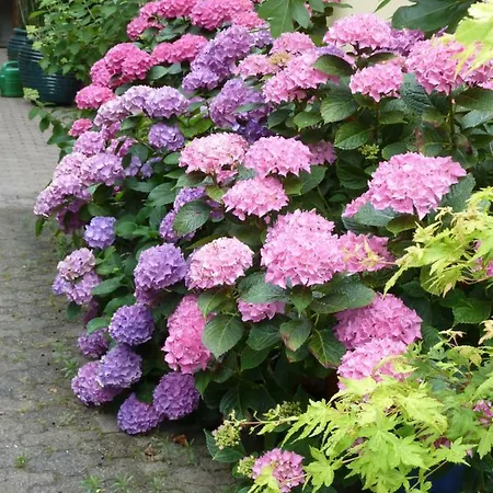 Helle 70 Qm Mit Herrlichem Blick * Teningen